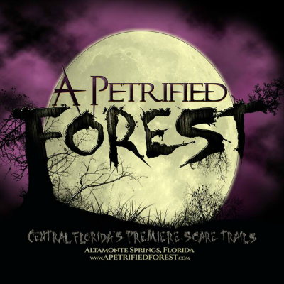 A-Petrified-Forest