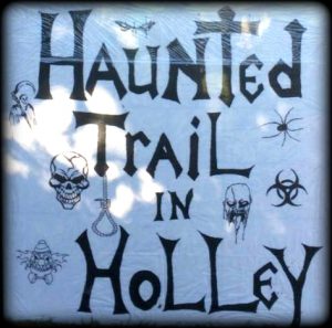 Top New York Haunted Houses Haunted Trail In Holley