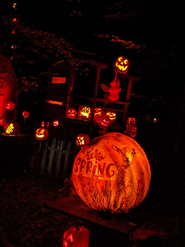 The Louisville Jack O' Lantern Spectacular - An Inside Look | Halloween