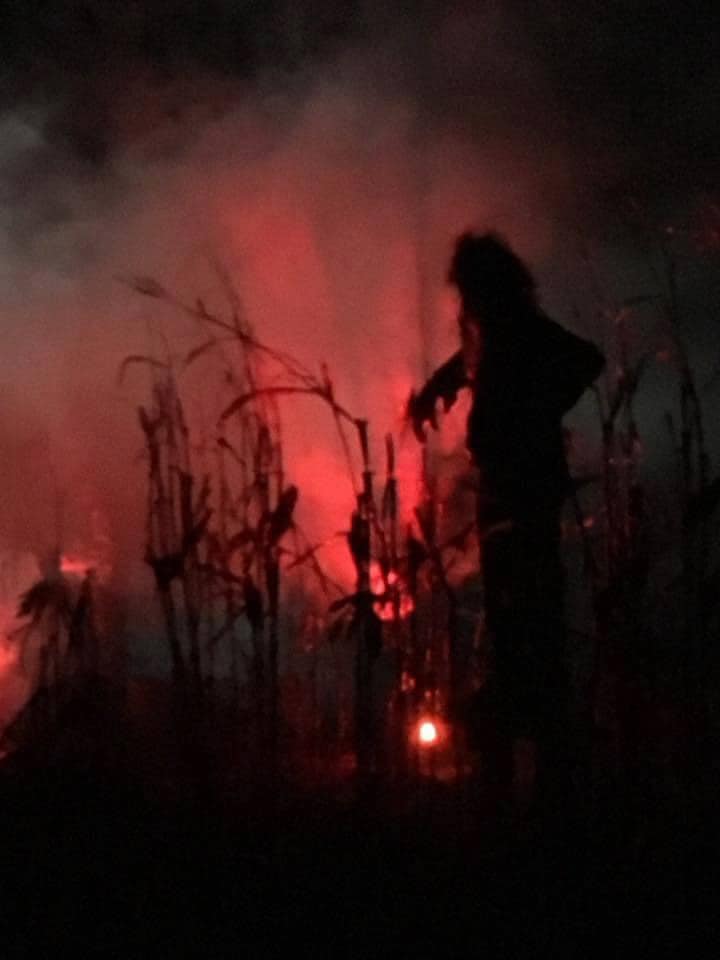 Graham Creeks Haunted Forest Alabama Haunts The Scare Factor