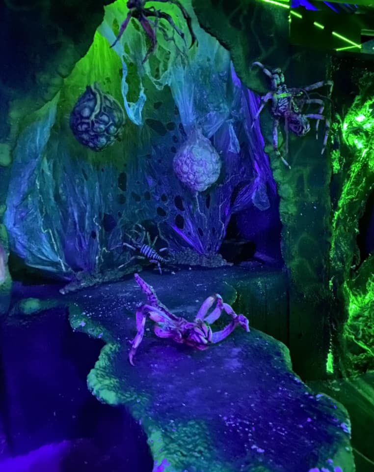 8 MustSee North Carolina Haunted Houses in 2023 The Scare Factor