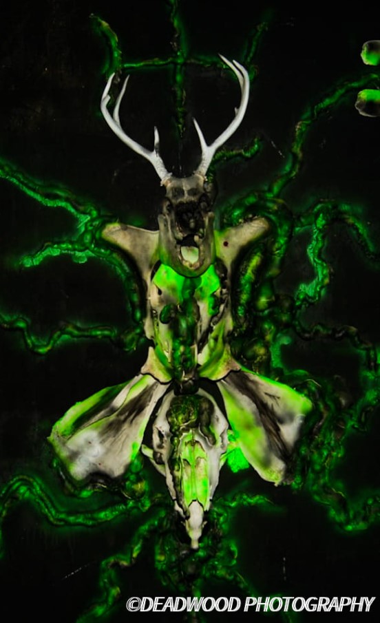 8 MustSee Virginia Haunted Houses in 2023 The Scare Factor