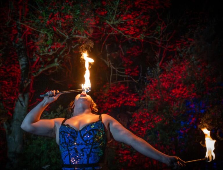 Statfold Scream Park Fire Entertainment
