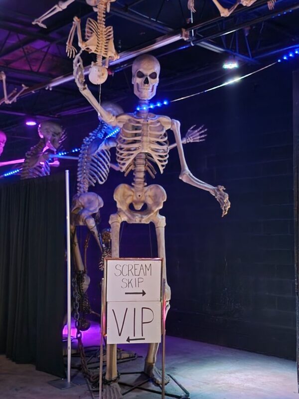 Conjure Waiting Line Skellies