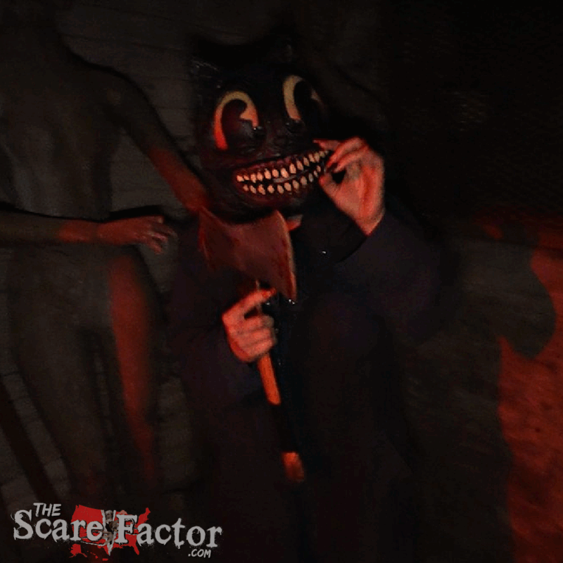 Dent Schoolhouse Scare Factor Cat