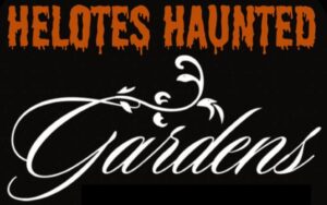 attraction logo