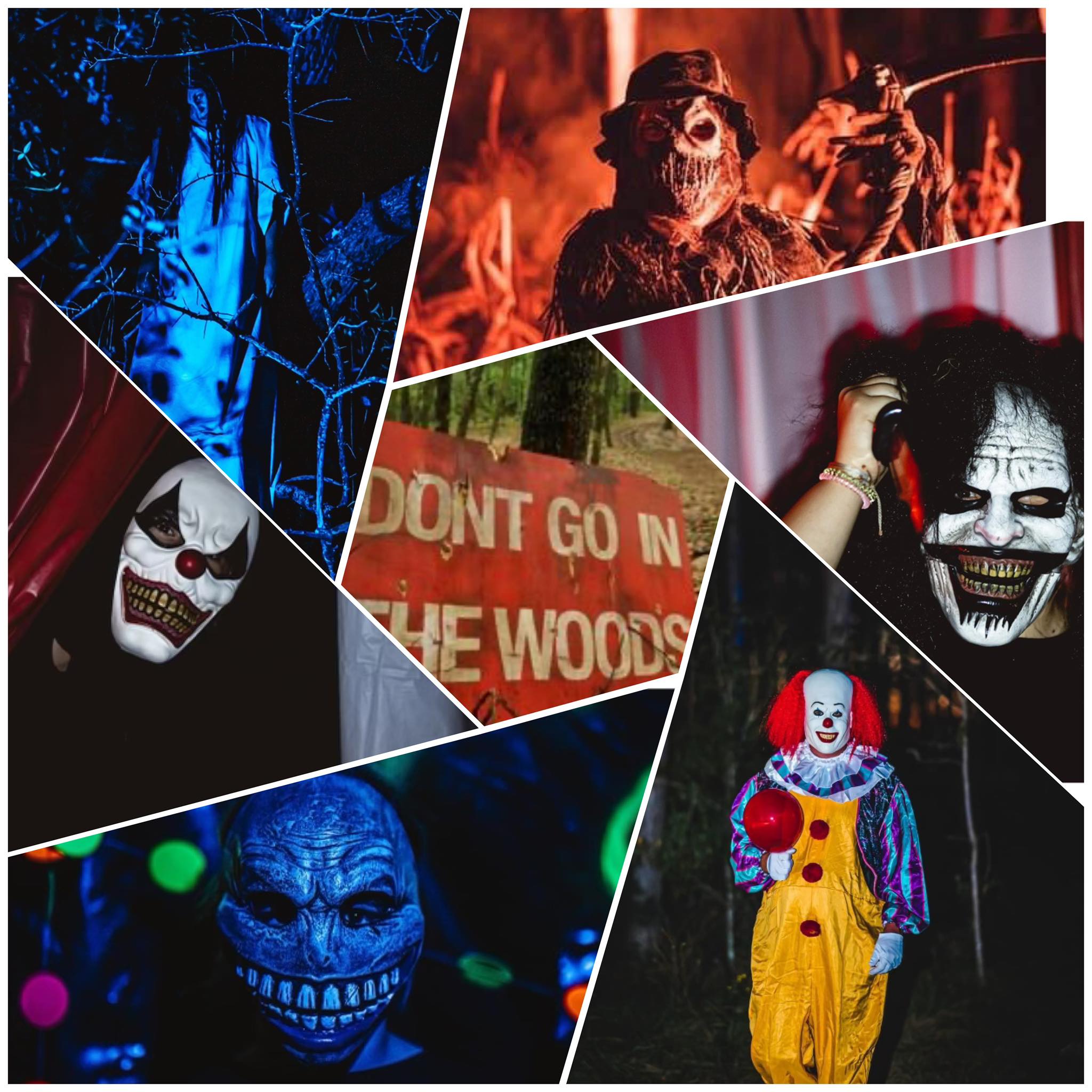 Terror in the Pines Florida