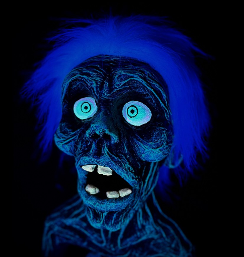 The Millsboro Haunted Mansion Home Haunt Delaware