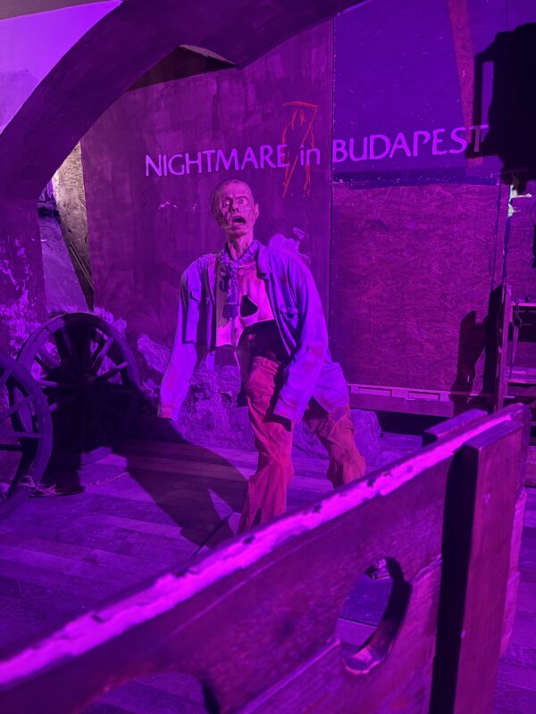 Nightmare in Budapest 2026 - IMG_1101