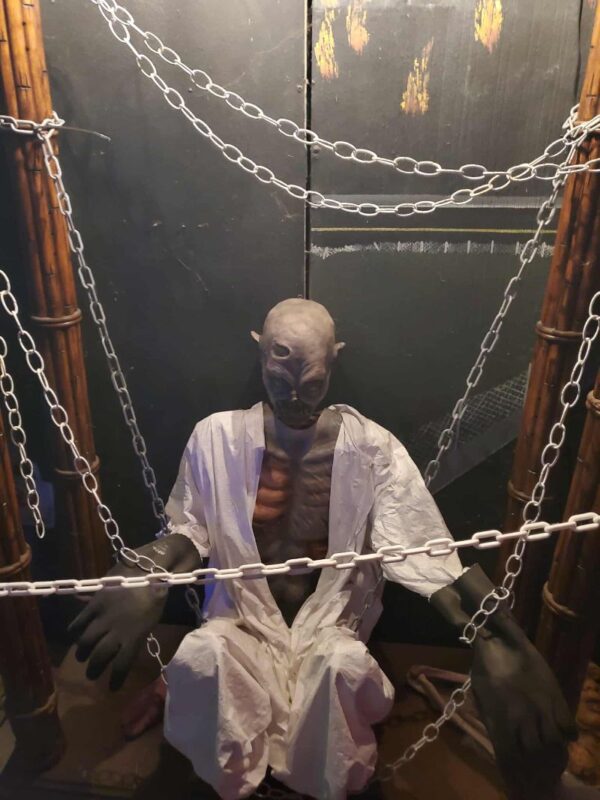 Dark Castle Haunted Attraction 2025 - 553586016_1251904396957477_1494490843210571401_n