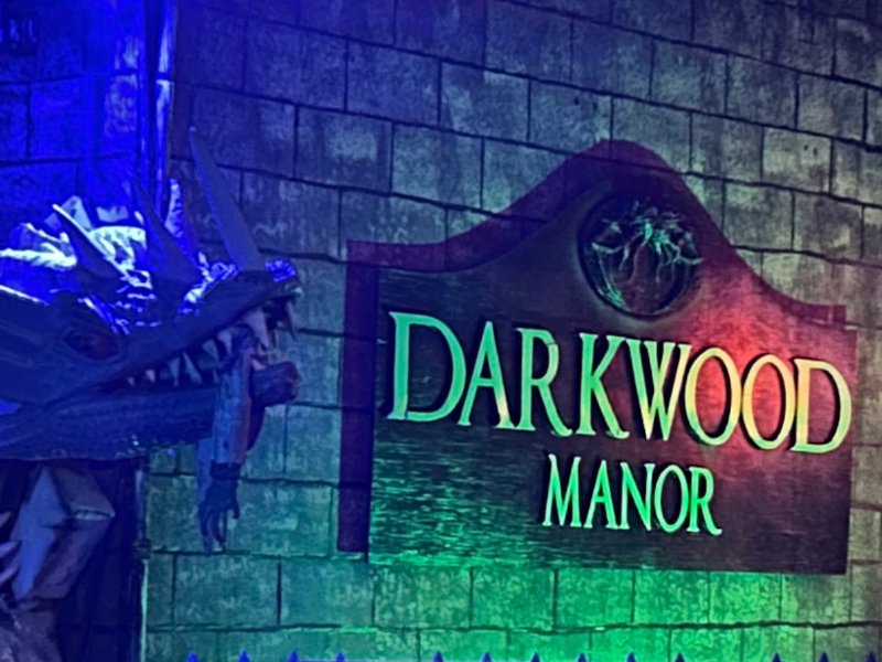 Darkwood Manor 2025 - image-4
