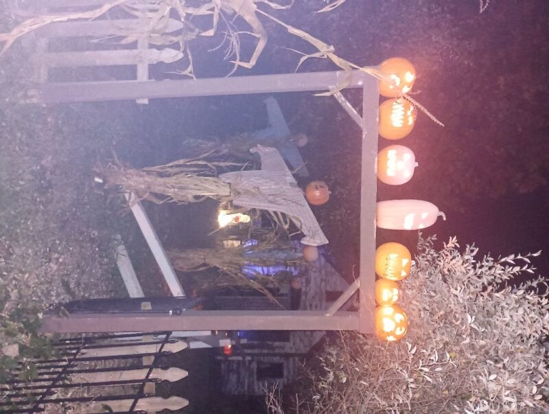 Deranged Haunt 2025 - DerangedPunkins