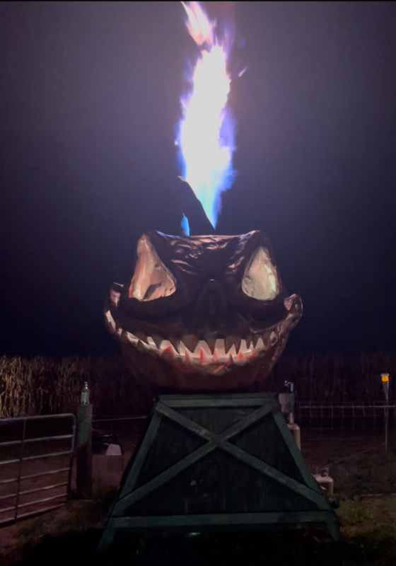 Fear Forest VA 2025 - Flames