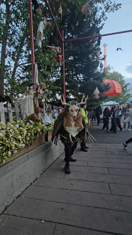 Fright Fest at Elitch Gardens 2025 - 553177751_1189025349741244_6681078963325480869_n