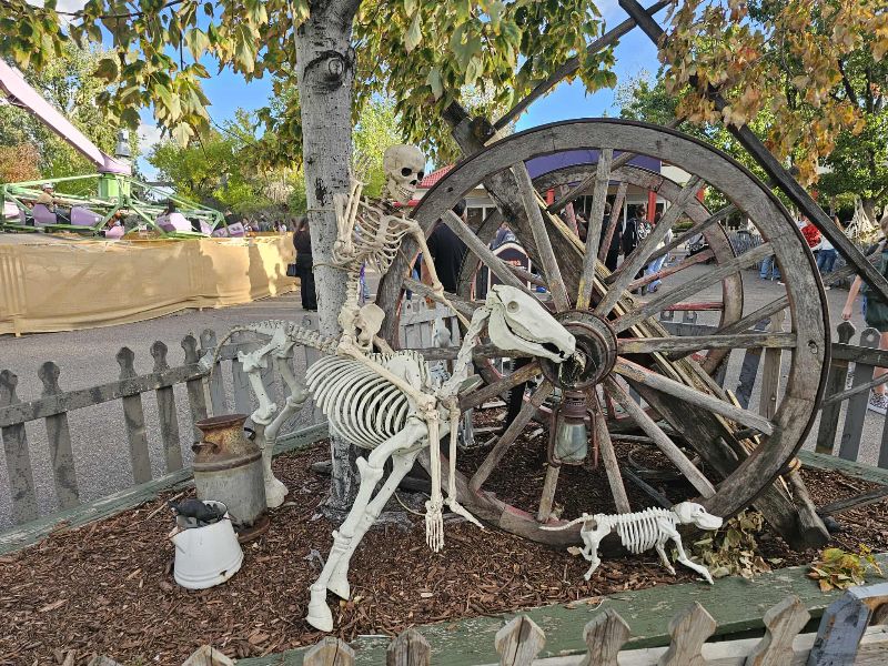 Fright Fest at Elitch Gardens 2025 - 553351114_1493764348414963_3513457429682584976_n