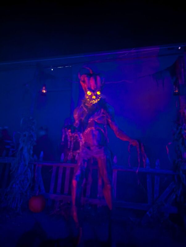 Fright Kingdom 2025 - PXL_20251011_235524445.RAW-01.MP_.COVER1_