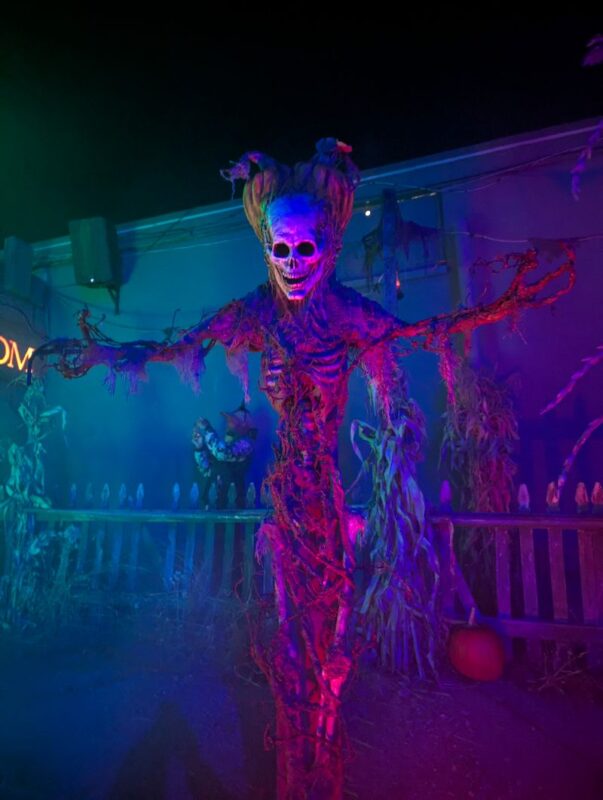 Fright Kingdom 2025 - PXL_20251011_235530022.RAW-01.MP_.COVER_
