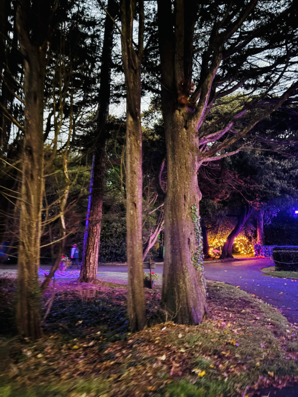 Halloween Nights at Fonmon Castle 2025 - IMG_8682