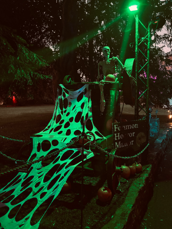Halloween Nights at Fonmon Castle 2025 - IMG_8686