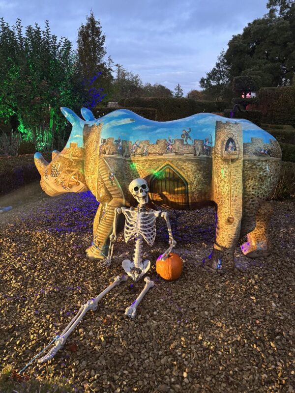 Halloween Nights at Fonmon Castle 2025 - IMG_8689