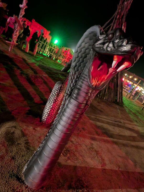 Haunted Acres 2025 - PXL_20251019_011821620.NIGHT_