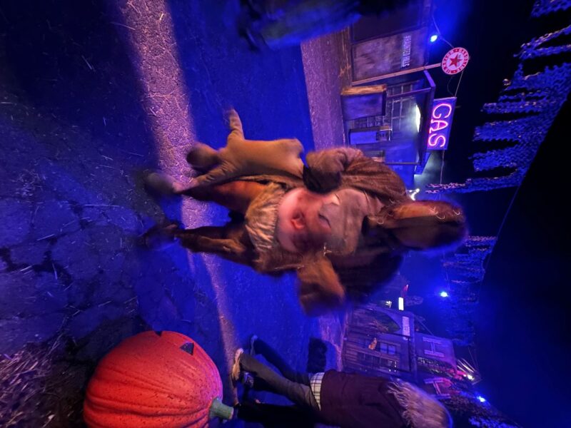 Haunted Hills Haunted Attractions 2025 - 20251012_003024275_iOS