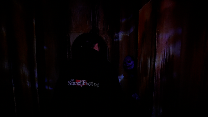 Laurels House of Horror 2025 - laurles-5