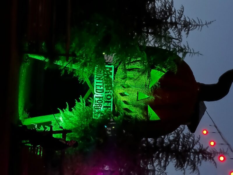 Markoff’s Haunted Forest 2025 - IMG_2539