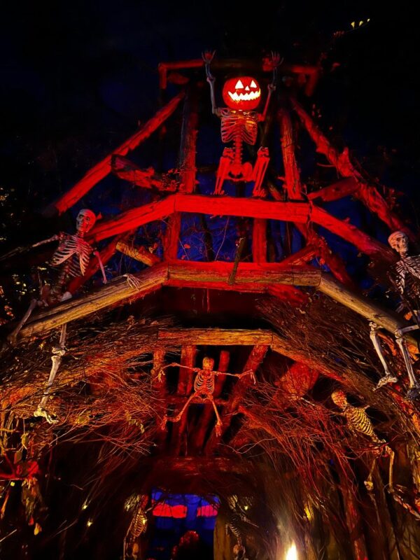 Markoff’s Haunted Forest 2025 - IMG_2540
