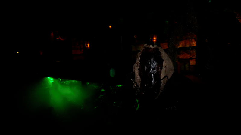 Markoff’s Haunted Forest 2025 - markoffs-5