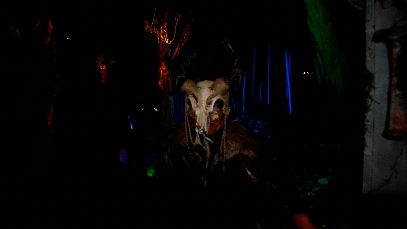 Markoff’s Haunted Forest 2025 - markoffs-9