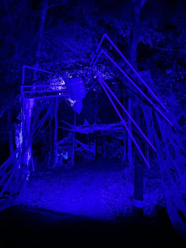 Mineral Haunted Woods 2025 - 571172543_122203420316046536_9024404811676683584_n