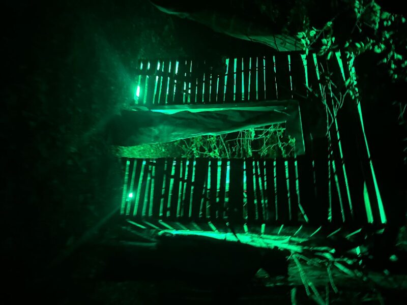 Mineral Haunted Woods 2025 - IMG_2426