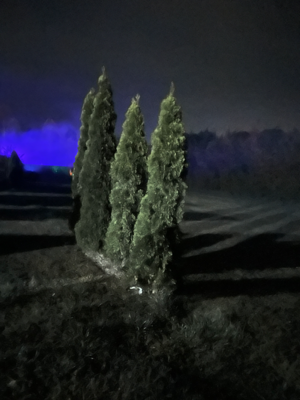 Mineral Haunted Woods 2025 - Untitled-October-28-2025-at-20.13.18