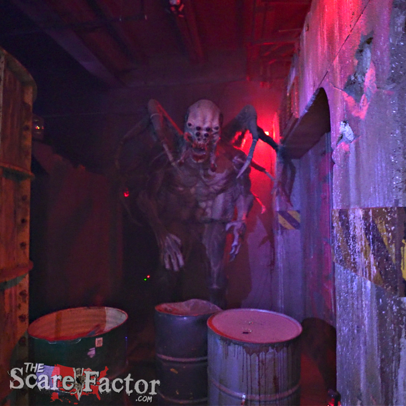 Nashville Nightmare 2025 - Nashville-Nightmare-Giant-Spider-Scare-Factor