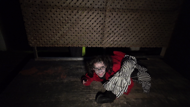 Nightmare Acres CT 2025 - vlcsnap-2025-10-17-15h17m30s731