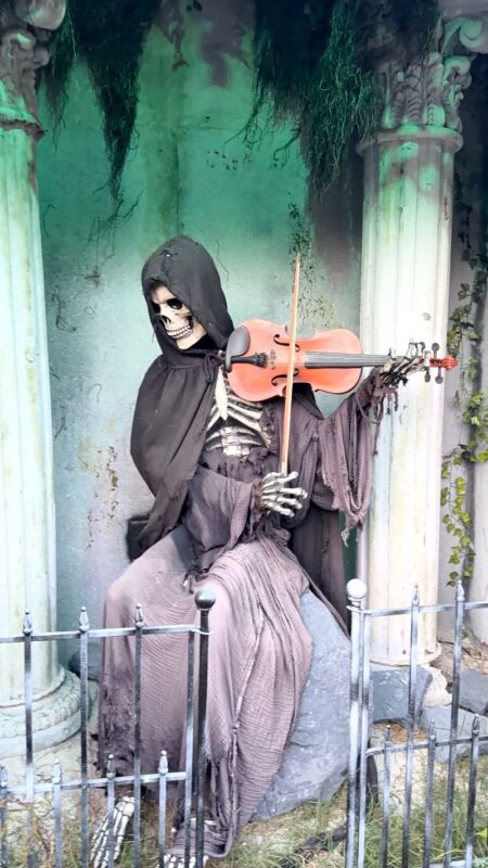 Red Vein Haunted House 2025 - IMG_8424