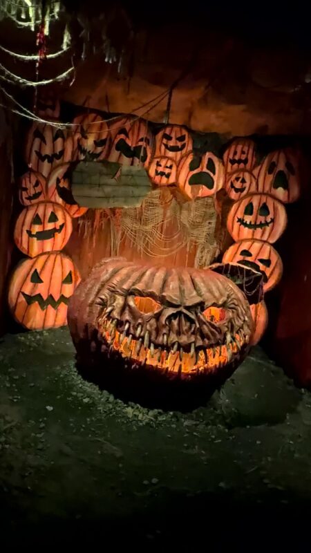 Red Vein Haunted House 2025 - IMG_8462