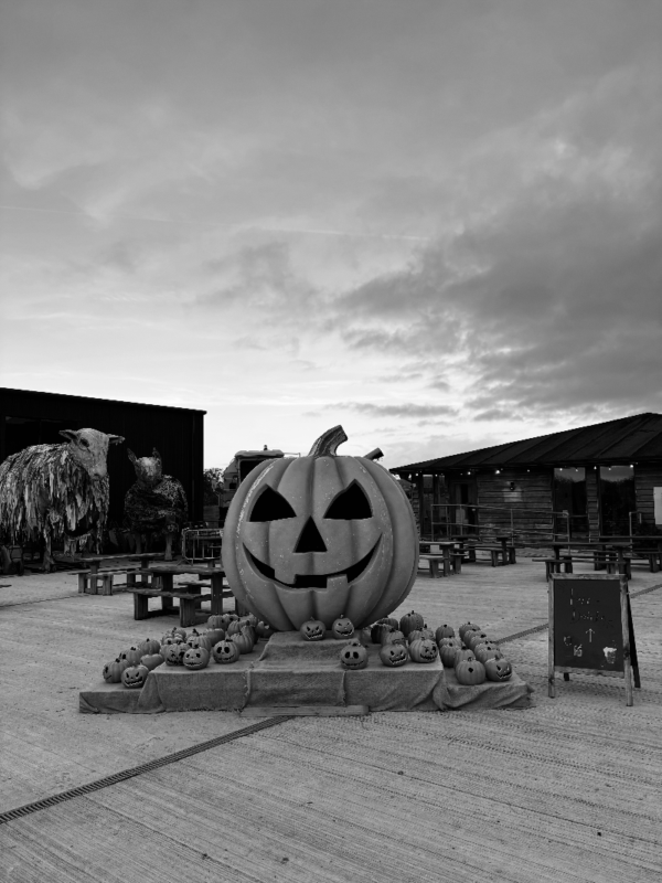 Scare Kingdom Scream Park 2025 - IMG_8250