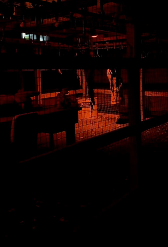 Spooky World 2025 - IMG_8458