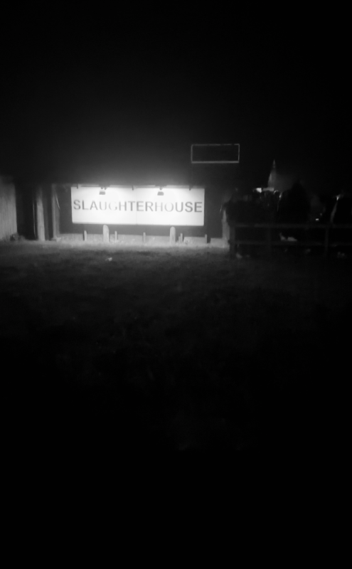Spooky World 2025 - IMG_8461