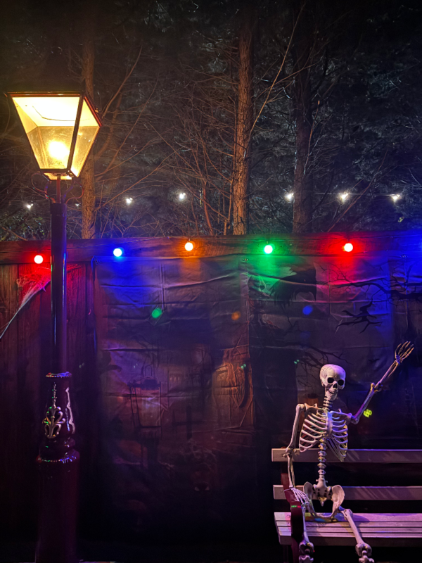 Statfold Scream Park 2025 - IMG_9168
