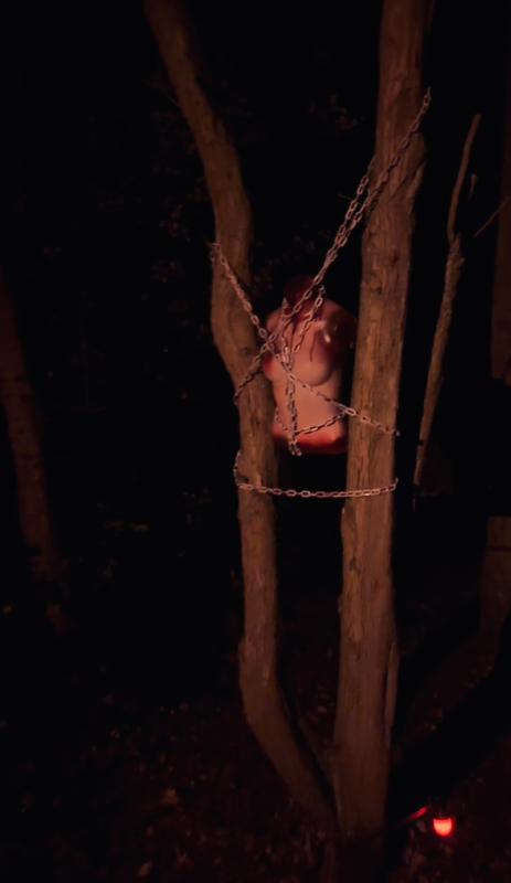 Statfold Scream Park 2025 - IMG_9237