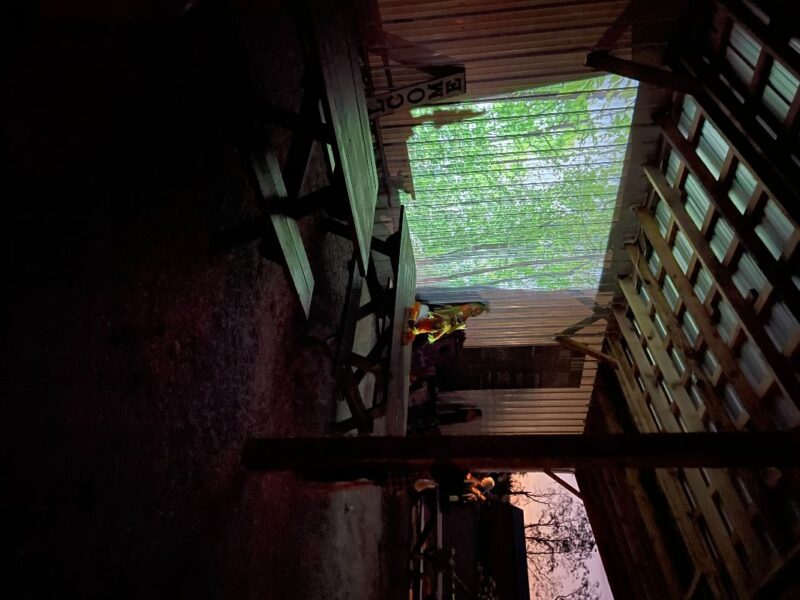 Sullivan Farms Haunted Forest 2025 - Horror-Movie