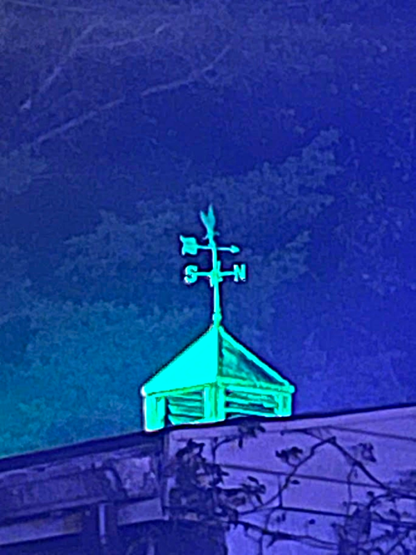 Terror at Potomac Manor 2025 - image
