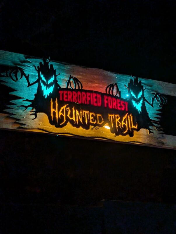 Terrorfied Forest 2025 - PXL_20251025_010206756.NIGHT_