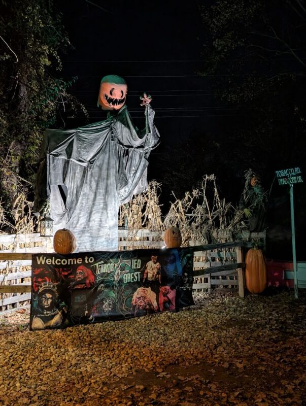 Terrorfied Forest 2025 - PXL_20251025_010241413.NIGHT_