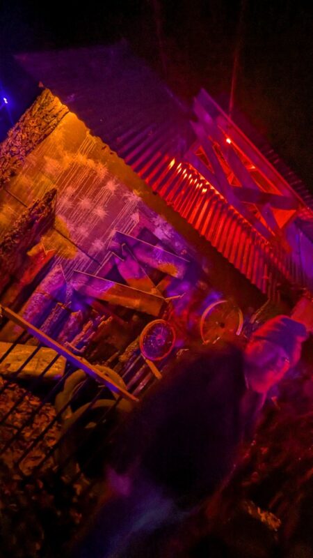 Terrorfied Forest 2025 - PXL_20251025_011023582.NIGHT_