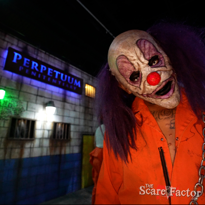 The 17th Door Haunt Experience 2025 - 17th-Door-Summary