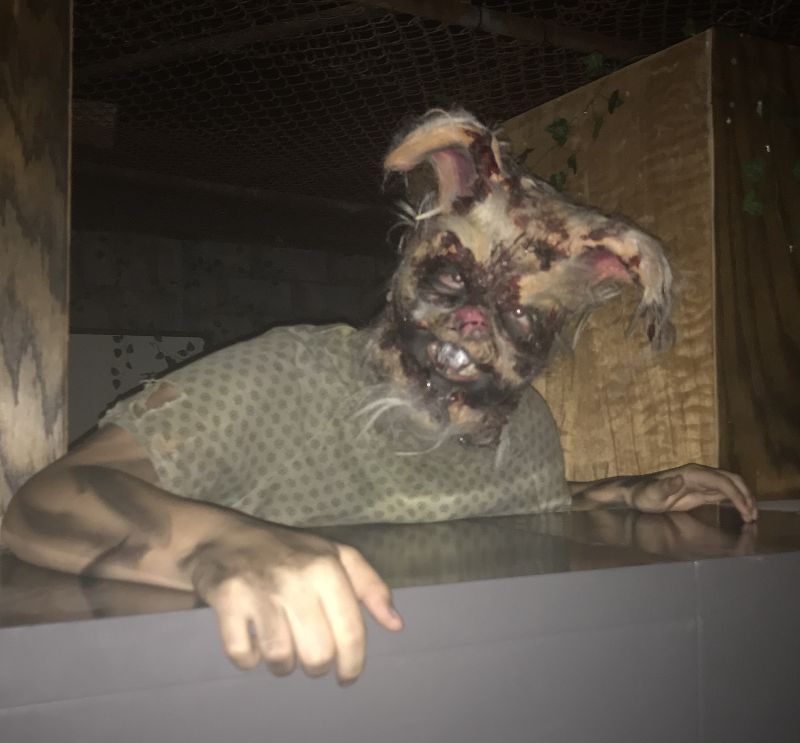 The Scream Machine 2025 - ScreamMachineRabbit